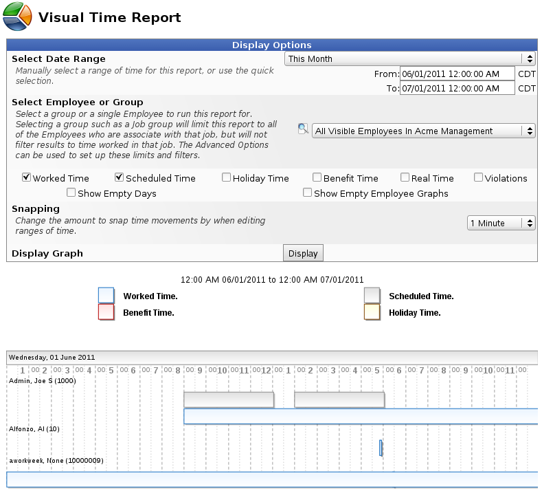 Visual Time Report